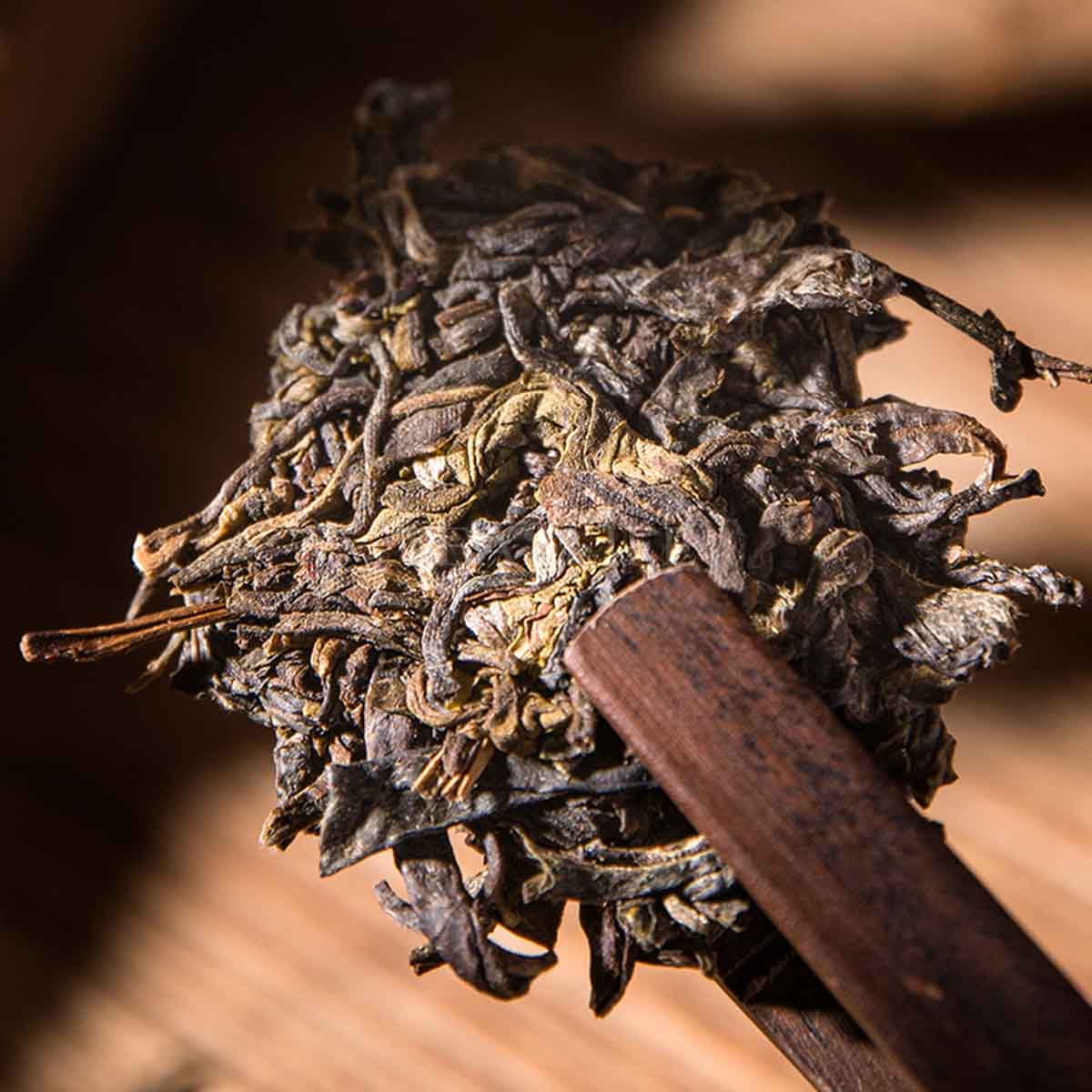 The Art of Pu'er Tea: Why Connoisseurs Prefer Raw Pu'er 1 - Tea2Life